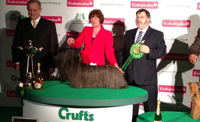 Crufts Dog Show, a kutyák legjobb és legnagyobb ünnepe – 2015. Március 05 – 08. – Birmingham