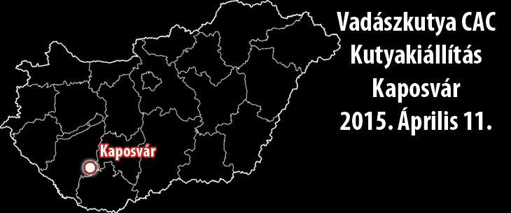 Vadászkutya CAC Kutyakiállítás – Kaposvár – 2015. Április 11.
