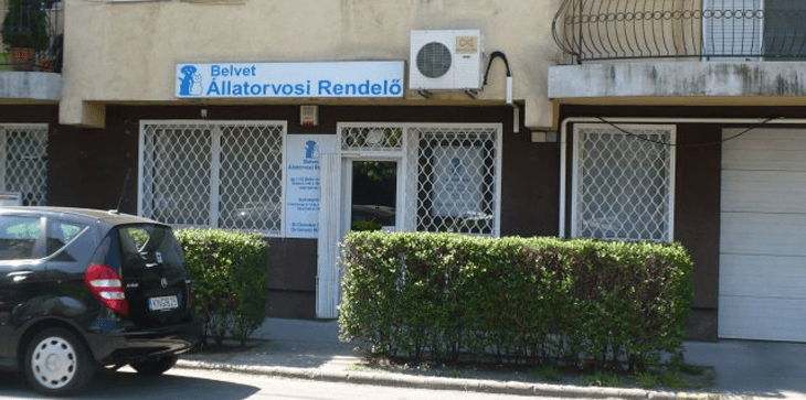 Dr. Csendes Péter – rendelő vezető állatorvos – Budapest