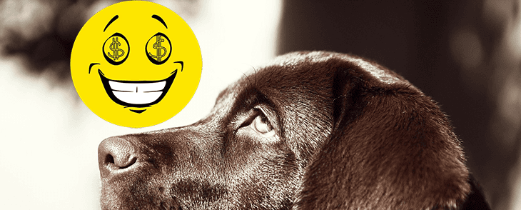 Italian Puppy Deportation – Background Puzzle
