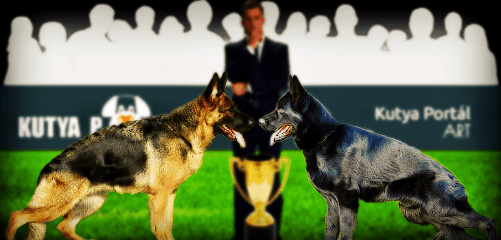 2016 Exhibition Calendar – National Federation of Hungarian Dog Breeders' Associations