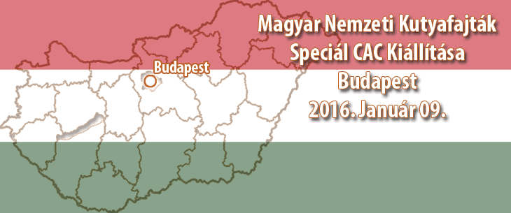 Magyar Nemzeti Kutyafajták Speciál CAC Kiállítása – Budapest – 2016. Január 09.