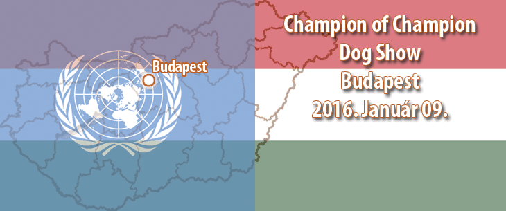 Champion of Champion Dog Show – Budapest – 2016. Január 09.