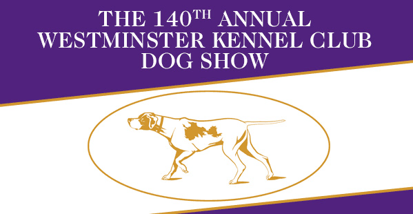 WESTMINSTER DOG SHOW – 2016. FEBRUÁR 15 – 16. – ÉLŐ közvetítés