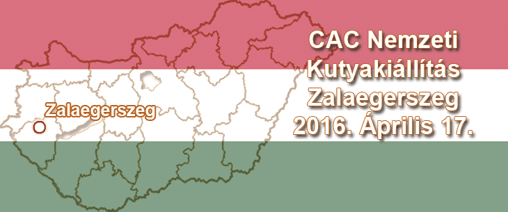 CAC Nemzeti Kutyakiállítás – Zalaegerszeg – 2016. Április 17.