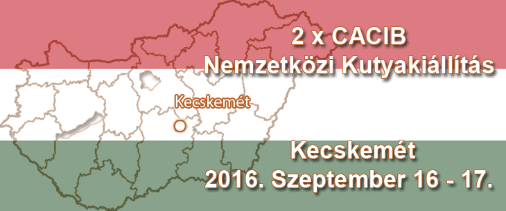2 x CACIB Nemzetközi Kutyakiállítás – Kecskemét – 2016. Szeptember 16 – 17.