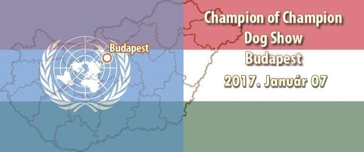 Champion of Champion Show – Budapest – 2017. Január 07.