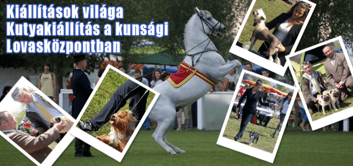 Kiállítások világa – Kutyakiállítás a kunsági Lovasközpontban