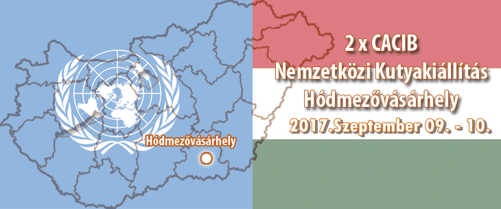 2 x CACIB Nemzetközi Kutyakiállítás – Hódmezővásárhely – 2017. Szeptember 09 – 10.