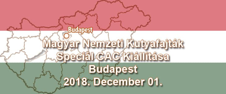 Magyar Nemzeti Kutyafajták Speciál CAC Kiállítása – Budapest – 2018. December 01.