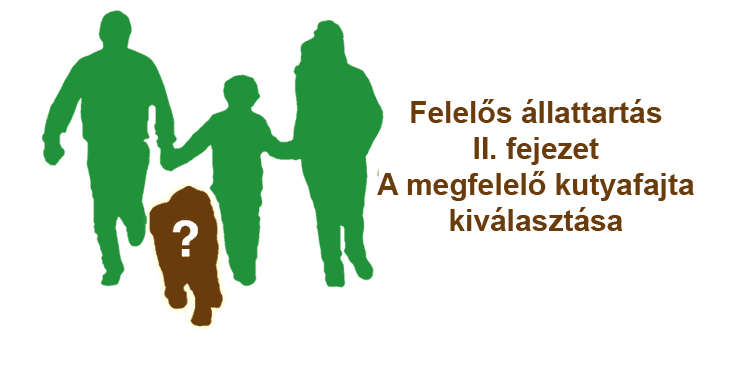 Responsible Pet Ownership II. Chapter – Choosing the Right Dog Breed