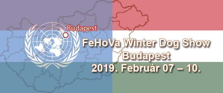 FeHoVa Winter Dog Show – Budapest – 2019. Február 07 – 10.