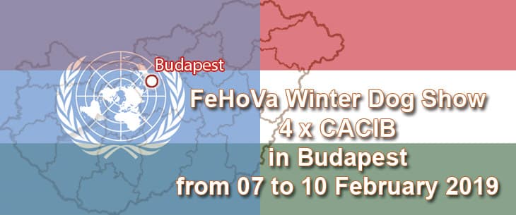 Winter Dog Show 4 x CACIB in Budapest from 07 to 10 February 2019