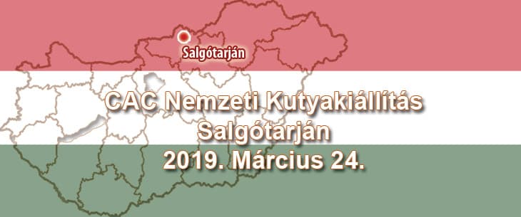 CAC Nemzeti Kutyakiállítás – Salgótarján – 2019. Március 24.