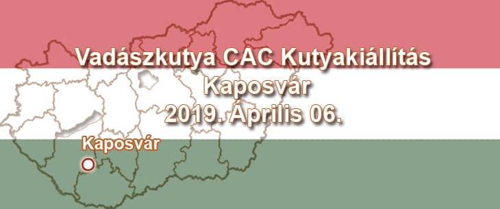 Vadászkutya CAC Kutyakiállítás – Kaposvár – 2019. Április 06.