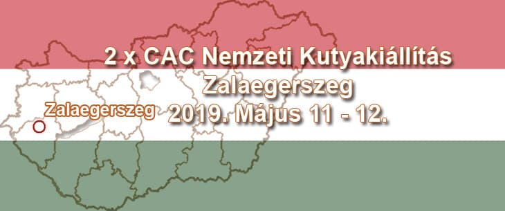 2 x CAC Nemzeti Kutyakiállítás – Zalaegerszeg – 2019. Május 11 – 12.