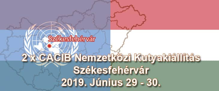 2 x CACIB Nemzetközi Kutyakiállítás – Székesfehérvár – 2019. Június 29 – 30.