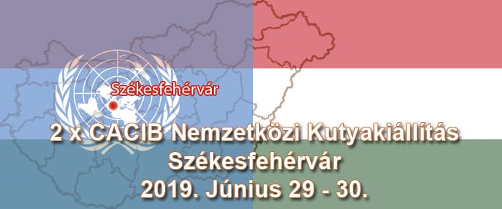 2 x CACIB Nemzetközi Kutyakiállítás – Székesfehérvár – 2019. Június 29 – 30.