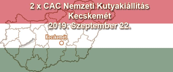 2 x CAC Nemzeti Kutyakiállítás – Kecskemét – 2019. Szeptember 22.