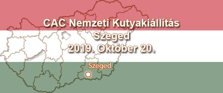CAC Nemzeti Kutyakiállítás – Szeged – 2019. Október 20.