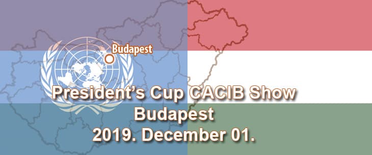 President’s Cup CACIB Show – Budapest – 2019. December 01.