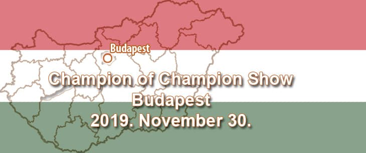 Champion of Champion Show – Budapest – 2019. November 30.