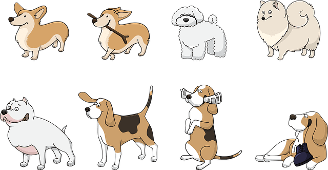 Mennyire okos a kutyád? IQ teszt kutyáknak