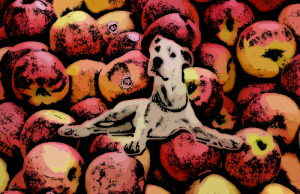 A kutyák és az alma