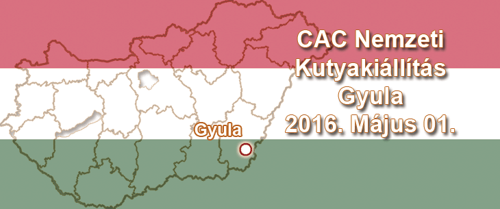 CAC Nemzeti Kutyakiállítás – Gyula – 2016. Május 01.