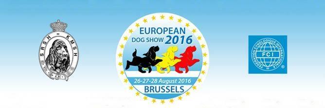 Az Euro Dog Show 34 év után újból szülőhazájában, Belgiumban látja vendégül a kutyás társadalom legszebbjeit