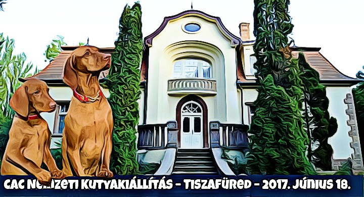 CAC Nemzeti Kutyakiállítás – Tiszafüred – 2017. Június 18.
