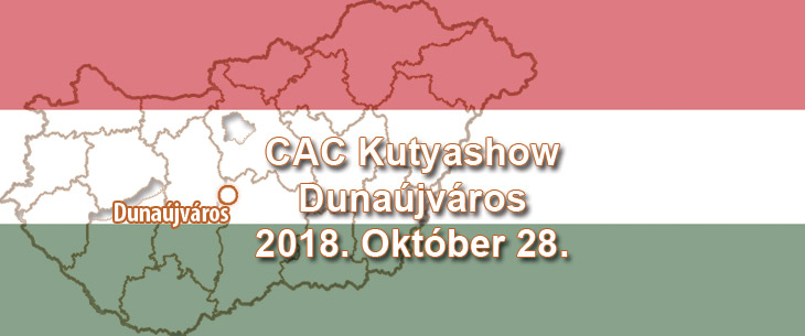 CAC Kutyashow – Dunaújváros – 2018. Október 28.
