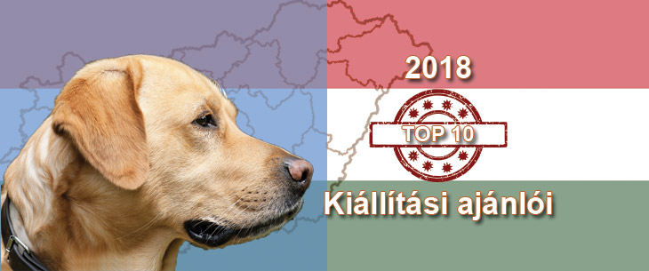 Kutya Portál 2018 TOP 10 kutyakiállítási ajánló