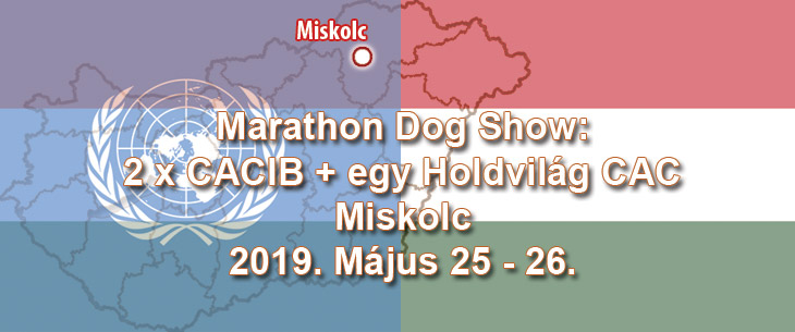 Marathon Dog Show: 2 x CACIB + egy Holdvilág CAC – Miskolc – 2019. Május 25 – 26.