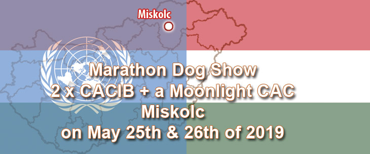 Marathon Dog Show: 2 x CACIB + a Moonlight CAC in Miskolc on May 25th & 26th of 2019