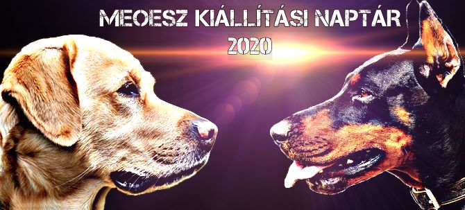 2020. évi kutyakiállítási naptár – Magyar Ebtenyésztők Országos Egyesületeinek Szövetsége