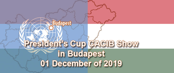 President’s Cup CACIB Show in Budapest 01 December of 2019