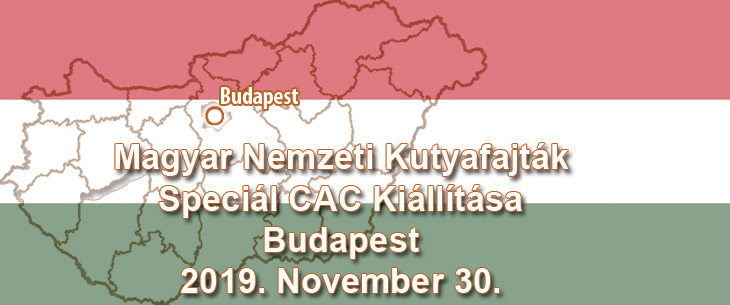 Magyar Nemzeti Kutyafajták Speciál CAC Kiállítása – Budapest – 2019. November 30.