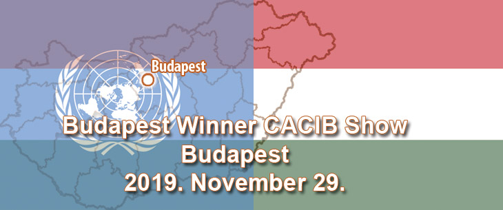 Budapest Winner CACIB Show – Budapest – 2019. November 29.
