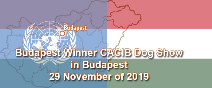 Budapest Winner CACIB Dog Show in Budapest 29 November of 2019